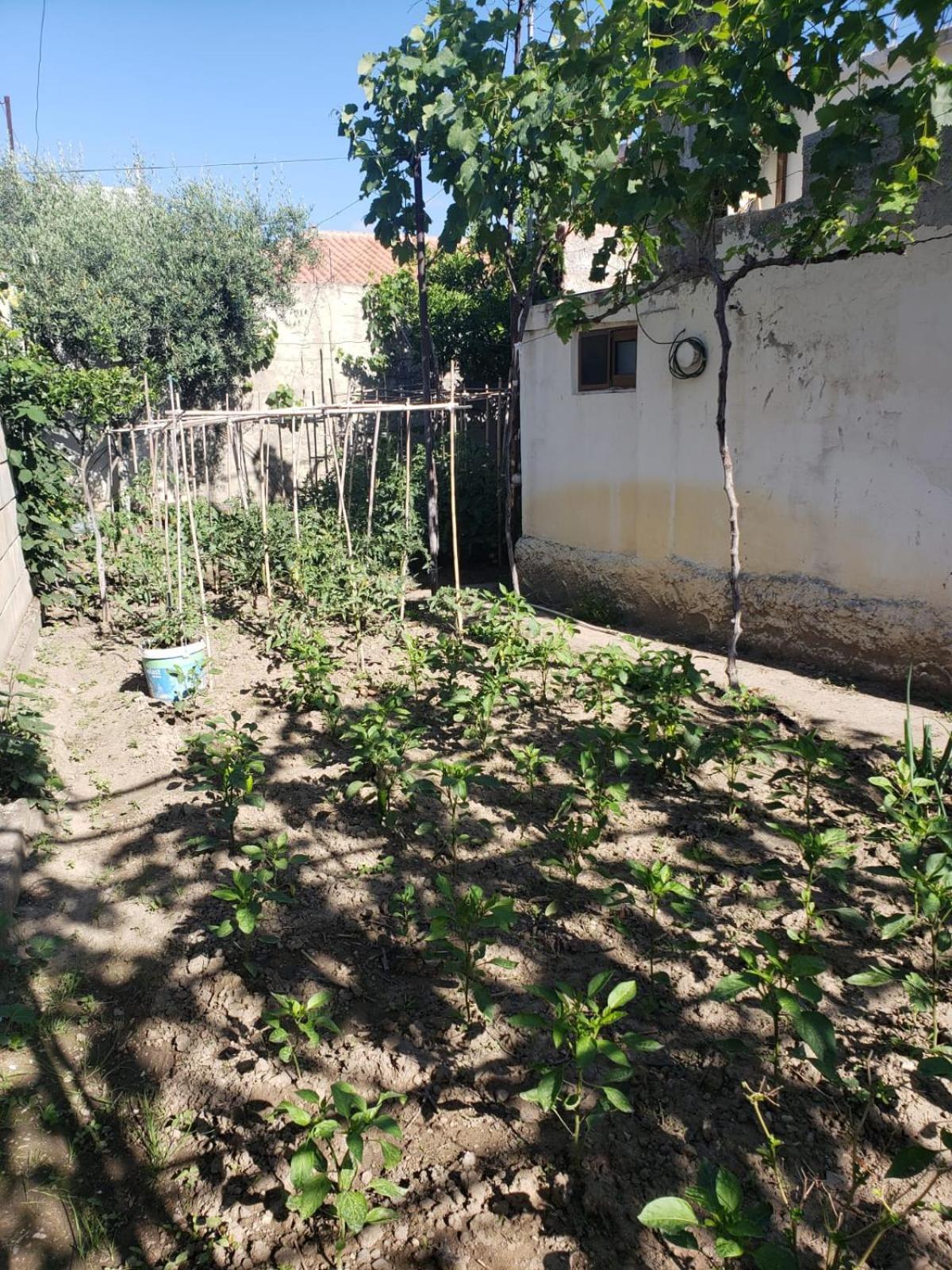 Private Room On A Shared Apartament Near Durres Beach Ngoại thất bức ảnh